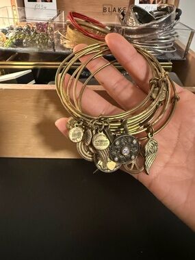 Alex and Ani Gold tone Charm Bangle Bracelets